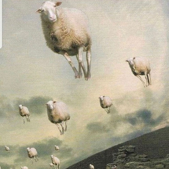 🍄🍄🍄🍄🍄🍄🍄🍄 - Picture 16 of 16